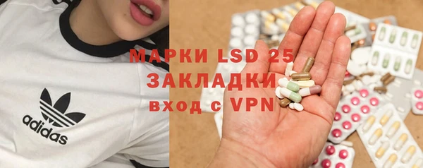 тгк Нея
