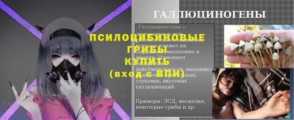 тгк Нея