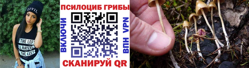 Галлюциногенные грибы MAGIC MUSHROOMS  МЕГА ССЫЛКА  Алагир 
